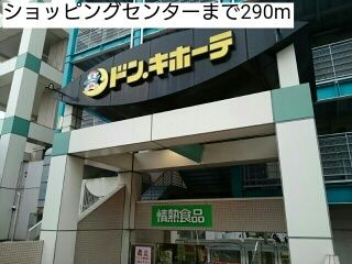 近くのショッピングセンターまで290m(徒歩4分)