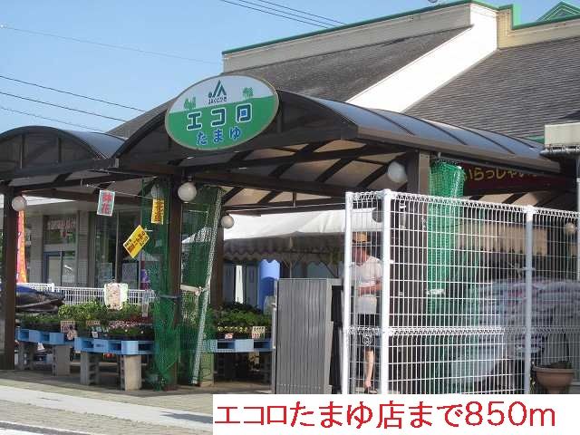 近くのエコロたまゆ店まで850m(徒歩11分)
