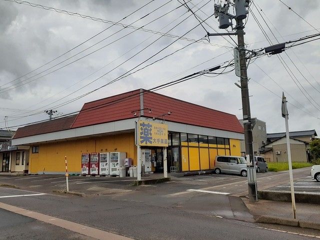 近くの大手薬品新潟和納店まで1,900m(徒歩24分)