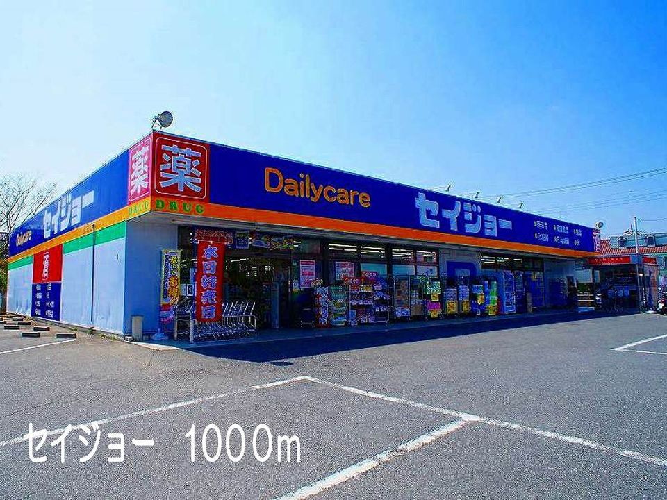 近くのドラッグストアまで1,000m（徒歩13分）