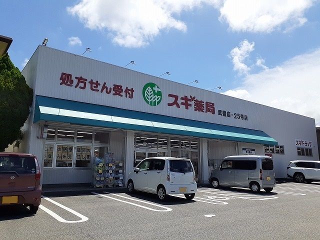 近くのスギ薬局武豊店まで720m(徒歩9分)