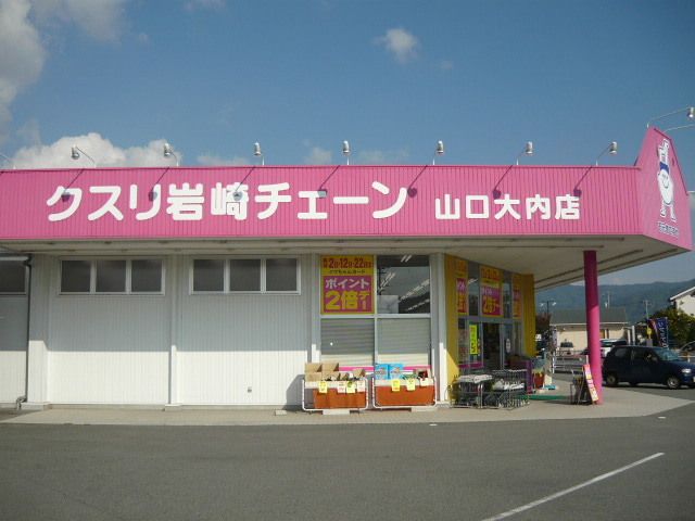 近くのクスリ岩崎チェーンまで1,300m（徒歩17分）