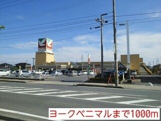 近くのヨークベニマルまで1,000m(徒歩13分)