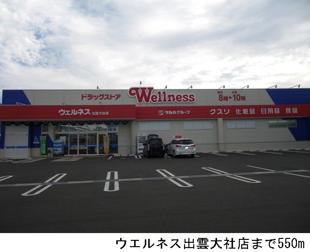 近くのウエルネス出雲大社店まで550m（徒歩7分）