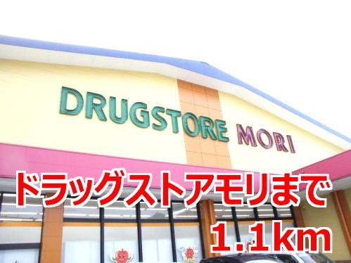 近くのドラッグストアまで1,100m（徒歩14分）