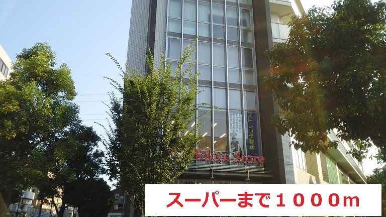 近くのスーパーまで1,000m(徒歩13分)