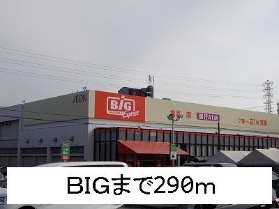 近くのビッグまで290m（徒歩4分）