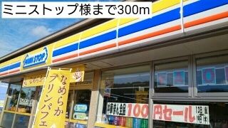 近くのミニストップまで300m（徒歩4分）