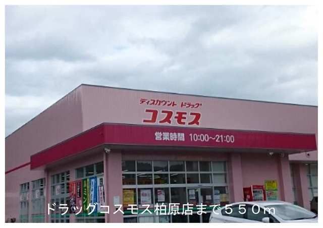 近くのドラッグストアコスモスまで550m（徒歩7分）