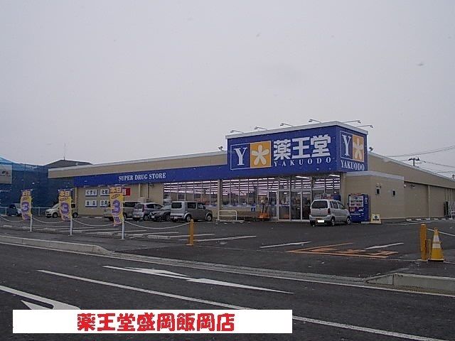 近くの薬王堂盛岡飯岡店まで400m（徒歩5分）