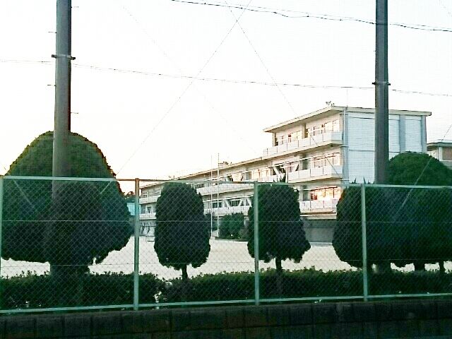 近くの小学校まで800m（徒歩10分）