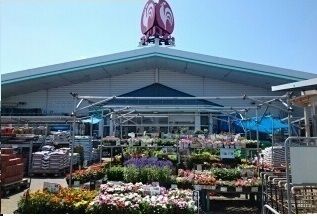 近くのコメリハード&グリーン神栖店まで2,200m(徒歩28分)