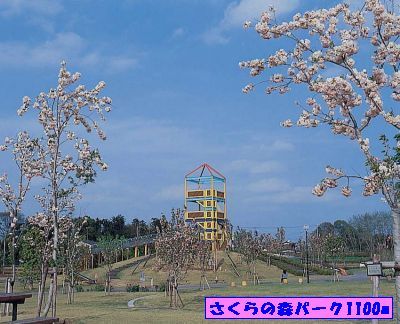 近くのさくらの森パークまで1,100m(徒歩14分)