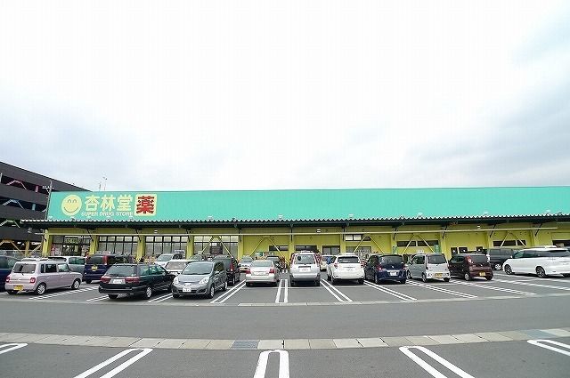 近くのドラッグストアまで750m（徒歩10分）