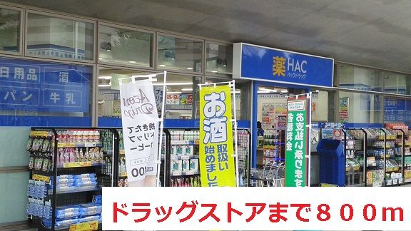 近くのドラッグストアまで800m（徒歩10分）