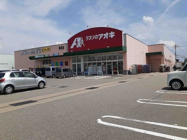 近くのクスリのアオキ柳田店まで1,000m(徒歩13分)
