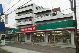 近くのセイムスまで480m(徒歩6分)