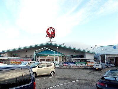 近くのコメリ　五十公野店まで1,600m（徒歩20分）