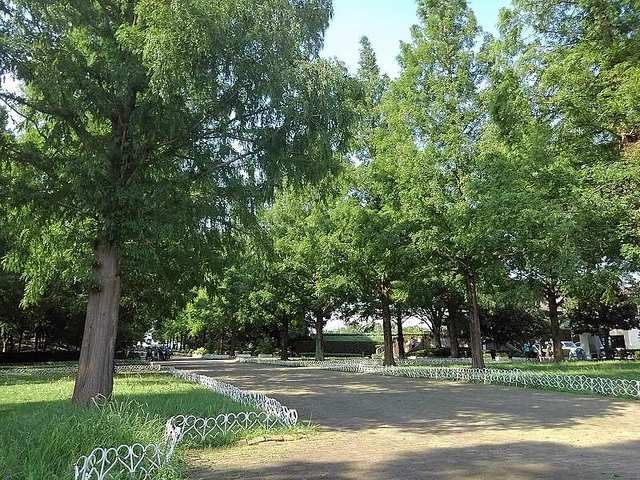 近くのそうか公園まで500m(徒歩7分)