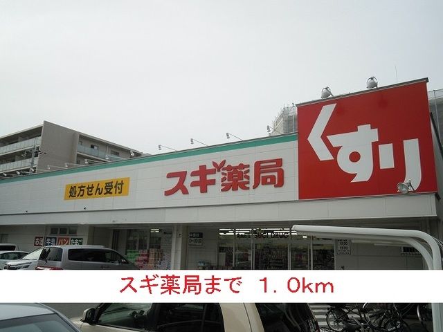 近くのドラッグストアまで1,000m（徒歩13分）