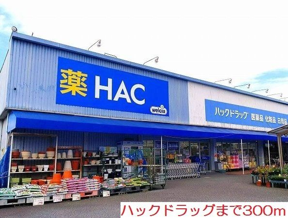 近くのハックドラッグまで300m（徒歩4分）