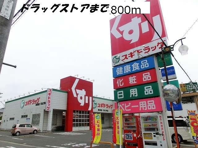近くのドラッグストアまで800m（徒歩10分）