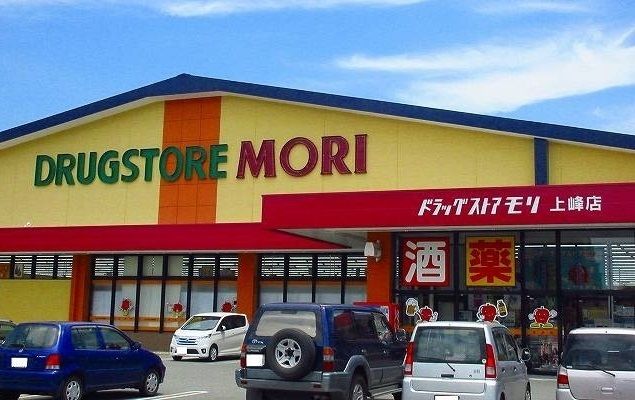 近くのドラッグストアモリ上峰店まで1,300m（徒歩17分）