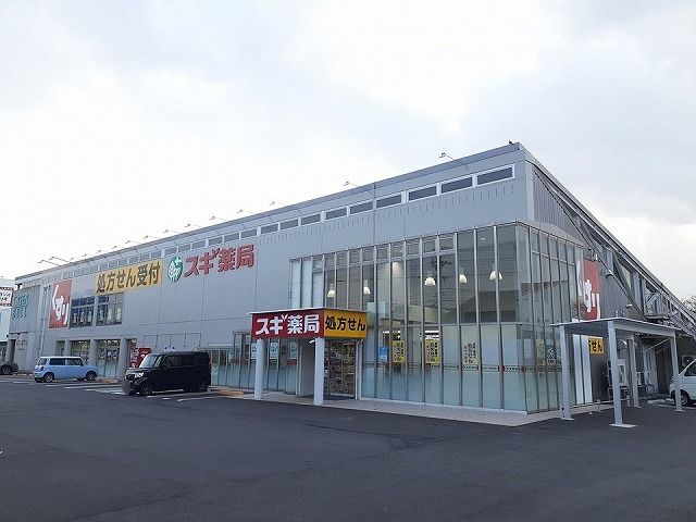 近くのスギ薬局まで800m(徒歩10分)