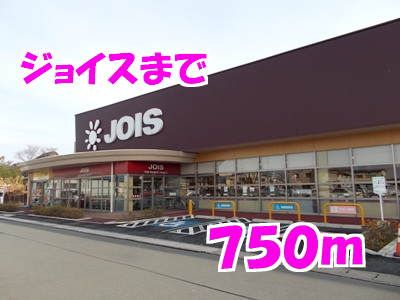 近くのジョイスまで750m(徒歩10分)