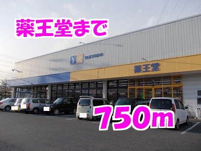 近くの薬王堂まで750m(徒歩10分)