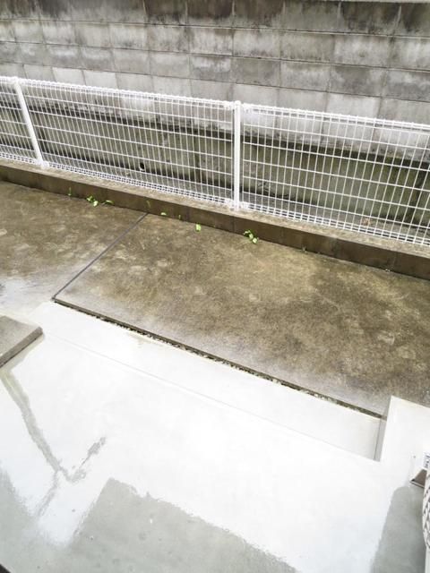 庭