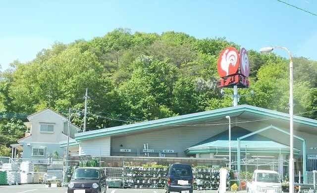 近くのコメリまで1,100m（徒歩14分）