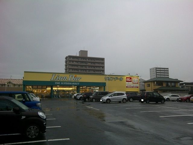 近くのリオン・ドール野田店まで700m(徒歩9分)