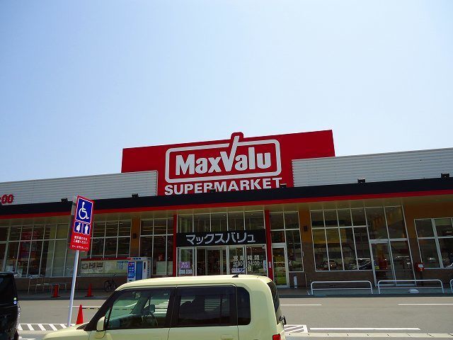 近くのマックスバリュ柳井新庄店まで350m（徒歩5分）