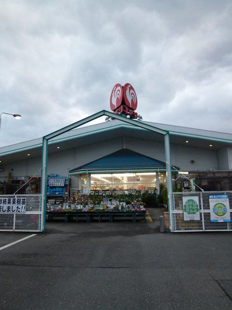 近くのコメリハード&グリーン新旭店まで500m(徒歩7分)
