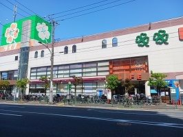 近くのライフまで250m(徒歩4分)
