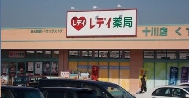 近くのレディ薬局十川店さんまで750m(徒歩10分)