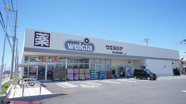 近くのウエルシア袖ヶ浦奈良輪店まで850m（徒歩11分）