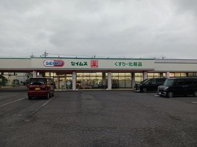 近くのドラッグセイムス元総社店まで1,500m（徒歩19分）