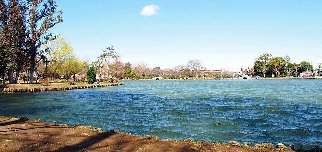 近くの水城公園まで300m（徒歩4分）