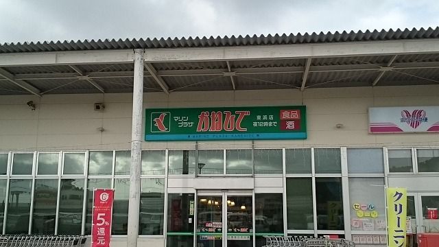 近くのタウンプラザかねひで　東浜店まで1,100m（徒歩14分）