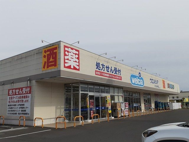 近くのドラッグストアまで300m（徒歩4分）