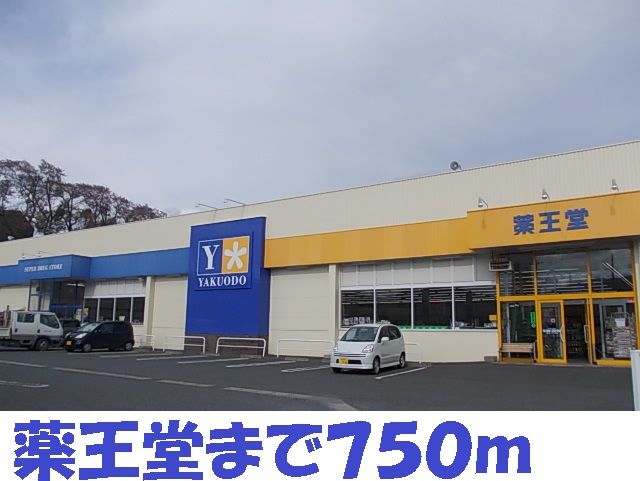 近くのドラッグストアまで750m（徒歩10分）