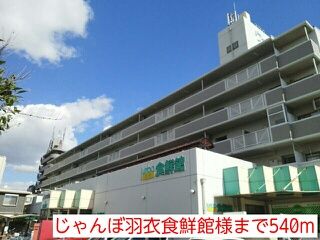 近くのじゃんぼ羽衣食鮮館様まで540m（徒歩7分）