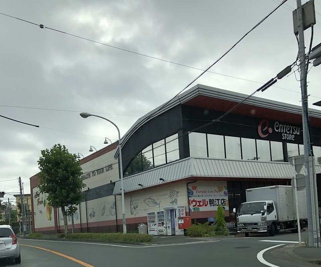 近くの遠鉄ストアウェル鴨江店まで800m（徒歩10分）