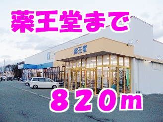 近くの薬王堂まで820m(徒歩11分)