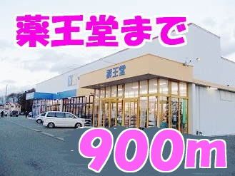 近くの薬王堂まで900m（徒歩12分）
