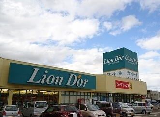 近くのリオン・ドール加茂店まで500m（徒歩7分）