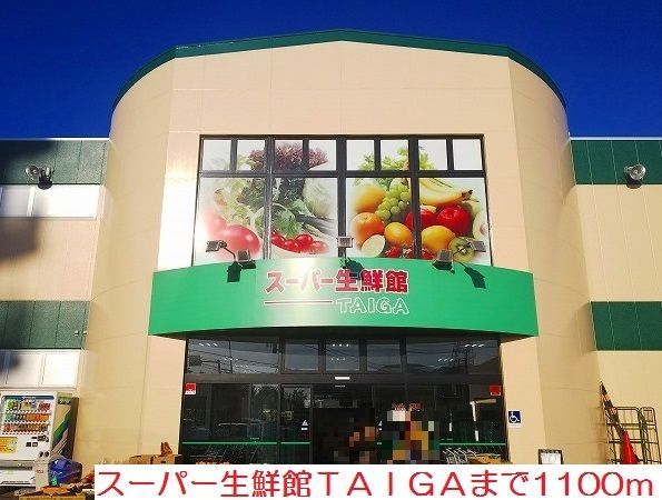 近くのTAIGAまで1,100m(徒歩14分)