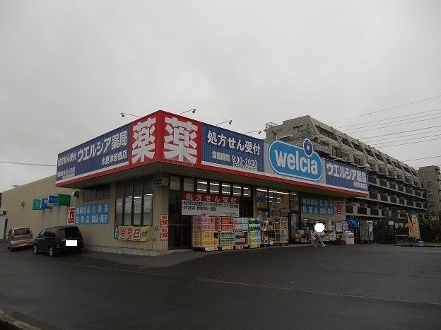 近くのドラッグストアまで750m（徒歩10分）